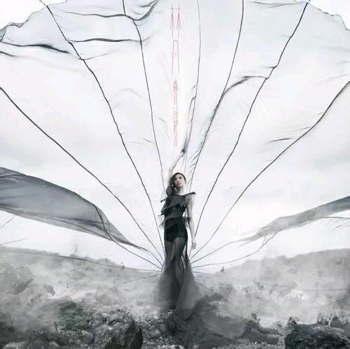 林凡《岁月这把刀》:够光泽 不锋利