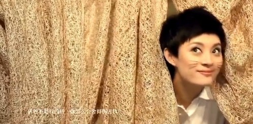 孙俪等众女星画胡子扮宠物 宣传保护动物