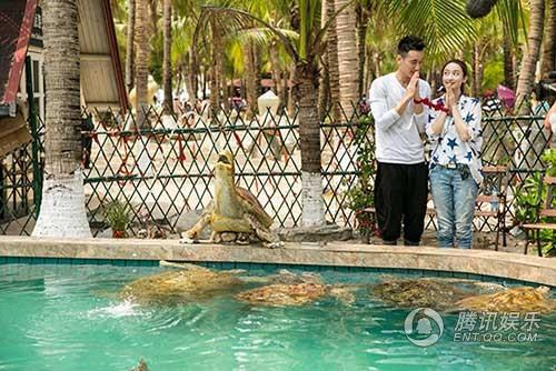 《如果爱》王阳明情系张俪 “黎明夫妇”受热捧