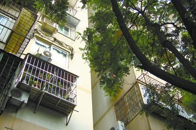 老人称绿化队喷药毒死参赛蛐蛐 要求尸检索赔33万